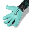 Xtreme Guard Dominius Pro Verde Aqua-Negro